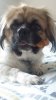 20170606_105238.jpg