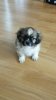20160122_144236.jpg