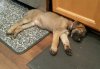 20170718_140809-1.jpg