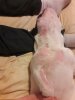 20170728_002944.jpg