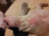 20170728_002930.jpg