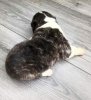IMG-20180816-WA0013.jpg