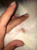 IMG_8563.JPG