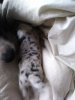 20181123_133957.jpg
