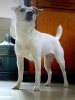 20180705_212942.jpg