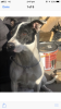 9C2E1AD9-50BA-4773-B488-56E2858A07C9.png