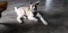 20190215_170532.jpg