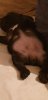 20190517_210403.jpg