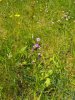 DSCF4659.JPG