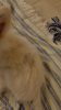 IMG_20190827_203137.jpg