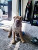20191006_103552.jpg