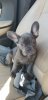 20191017_103752.jpg