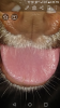 Screenshot_2020-03-14-16-48-10.png