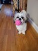 Attach0_20200125_084405.jpg