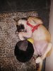 IMG_20200508_231035.jpg