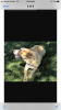 A662C014-44B1-4F85-AB95-71E3702141BA.png