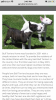 3734CF69-EFCE-4F24-992B-DD54D66AD3B1.png