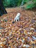 IMG_20201023_124053.jpg