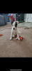 492CA933-03C3-4E15-A56F-BE2C489D5164.png