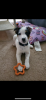 98650780-A42B-42D1-9635-79982F630C0C.png