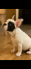 496DDDAC-0FF1-4661-B227-DBC8DA0FF926.png