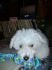 IMG_20201124_185441.jpg