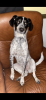 0D69C9D6-4827-47DD-9126-36CAEDC3FB85.png