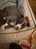 IMG_20210208_223628.jpg