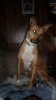 Screenshot_20190820-173127.png