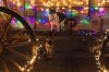 Christmas Cats small_1.jpg