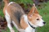 c DSC_0238.JPG