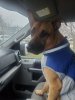 20220202_084706.jpg