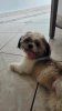 WhatsApp Image 2023-12-01 at 12.41.27.jpeg