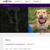 shelter_picture.png