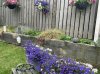 IMG_4170.jpeg