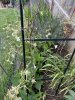 IMG_4165.jpeg