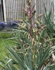 IMG_4169.jpeg