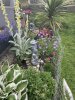 IMG_4199.jpeg