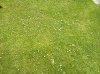 IMG_20250623_135513.jpg