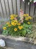 IMG_4305.jpeg