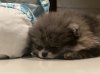 IMG_8950.jpeg