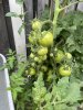 IMG_4571.jpeg