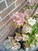 IMG_20250924_123800.jpg