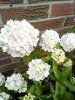 IMG_20250701_113809.jpg