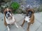 geordieboxerlover