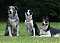 kate_7590