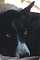 Luthien