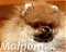 Malpom