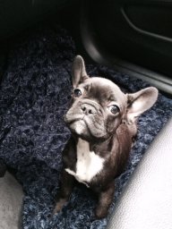 LouieLongstaff