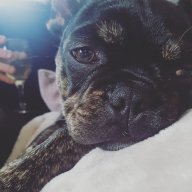 Christine Cunningham